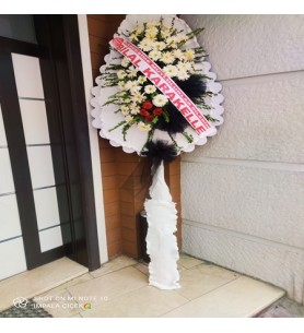 Çelenk Tekli Canlı Gerbera